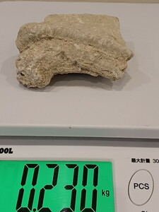 錬A★320 北投石 原石 230g 貴重 鉱物 ホルミシス ラジウム エネルギー 玉川