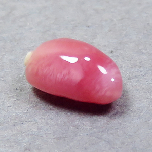 《tiny》コンクパール(conch pearl) ルース(0.27ct)