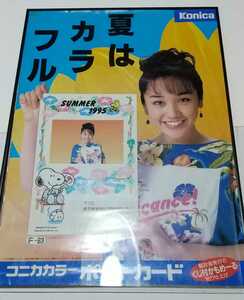 西田ひかる / Konica カラー　夏はカラフル　販売促進B2ポスター　