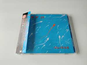 PFM Premiata Forneria Marconi / ユリシーズ ULISSE 日本盤帯付CD ポニーキャニオン PCCY01632 97年コンセプト作品,03年日本初CD化盤