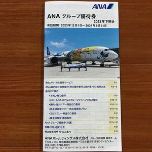 ANA グループ優待券1冊(優待券18枚) 、有効期間:2024年5月31日まで、送料無料です。