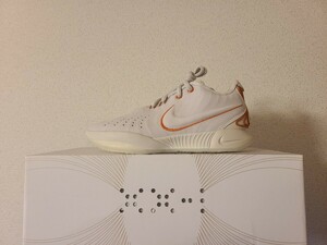 【新品未使用】NIKE LEBRON XXI EP 26cm レブロン 21