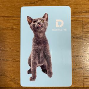 新発売　DARTSLIVE ダーツライブカード 猫グレー