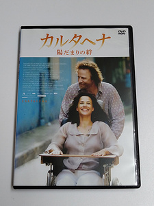 DVD「カルタヘナ 陽だまりの絆」(レンタル落ち) アラン・モネ監督/ソフィー・マルソー/クリストファー・ランバート