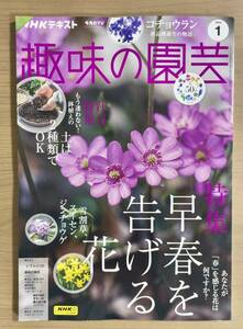 NHK趣味の園芸2024年1月号 雪割草/スイセン/ジンチョウゲ/基本の土/稲垣吾郎グリーンサム⑩/花カレンダーほか　送料185円