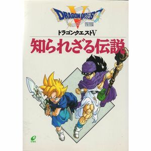 ドラゴンクエスト5 知られざる伝説