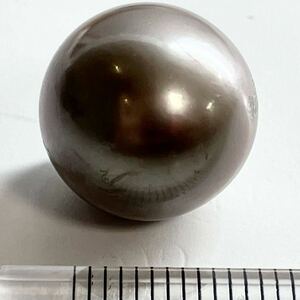 ［南洋黒蝶真珠4.25g］A 約21.297ct 14.3×14.3mm ルース 裸石 宝石 black pearl tahitian 真珠 テDB0