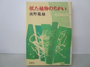 似た植物のちがい li0511-if1-nn249167