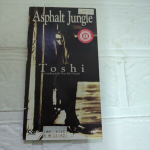 Asphalt Jungle/Toshiレンタル落ちです