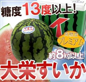 （予約）限定1玉！鳥取【大栄すいか プレミアム】糖度13度以上！！！！