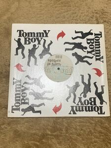 TOMMY BOY LPレコード　OLD stussy 80 90s トミーボーイ　オールドステューシー　アンティーク　雑貨