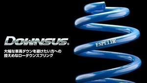 【ESPELIR/エスぺリア】 ダウンサス Plus 1台分 デイズ B21W 2WD ターボ 前期 / ハイウェイスターGターボ [ESN-3404]