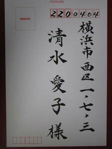 ★毛筆手書き致します★宛名代筆　筆耕　葉書　招待状　封筒　礼状　結婚報告の宛名書き　心のこもった案内状　はがき　年賀状　喪中はがき