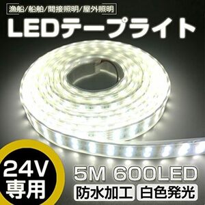 LEDテープライト 5m 防水 24V 600連SMD5050 二列式 カバー付 白 ホワイト 白ベース 正面発光 漁船/船舶/トラック/屋外照明/led間接照明