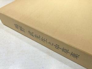 非売品　嶋野武先生と中草薬　嶋野卓発行　平成元年発行　送料520円　【a-3848】