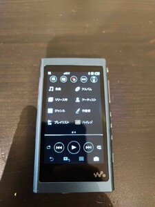 SONY ソニー ウォークマン walkman ハイレゾ Bluetooth Hi-Res NW-A55 オーディオ WALKMAN 