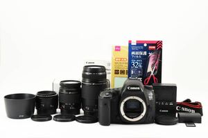Canon EOS 5D Mark IV標準&望遠&単焦点レンズセット/Canon EF 50㎜1:1.8 II/Canon EF 28-80㎜1:3.5-5.6IV/CANON EF 75-300㎜ F4-5.6 II