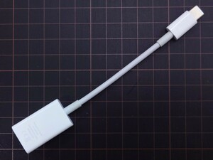 Apple アップル MJ1M2AM/A USB-C - USB 変換アダプタ