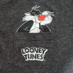 ルーニーテューンズ looney tunes ネフ NEFF Tシャツ グレー