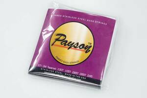 【new】payson strings / Payson Fanned SS 5 String Set【GIB横浜】