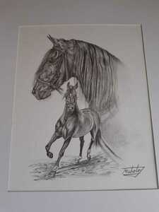 鉛筆画　勇姿の駿馬