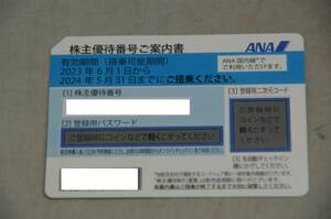 ANA 株主優待券 1枚 番号通知のみ可 期限2024年5月31日まで 全日空