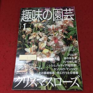 h-250 ※4 NHK 趣味の園芸 2001年7月号 2001年7月1日 発行 日本放送出版協会 雑誌 園芸 趣味 ローズ レシュノルティア プリムラ