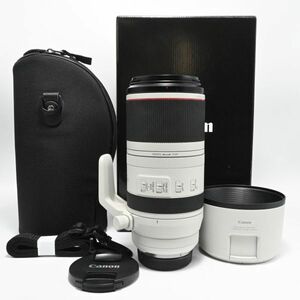 【新品級の極上美品/動作◎】Canon 望遠レンズ RF100-500mm F4.5-7.1 L IS USM フルサイズ対応　キャノン