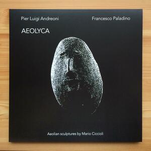 Pier Luigi Andreoni & Francesco Paladino　Aeolyca　2018年　LPレコード　未使用美品　イタリア産霊性ミニマル/アンビエント