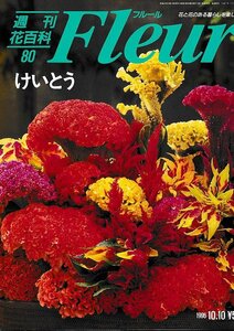 ■送料無料■Y22■週刊花百科　Fleur　フルール　No.80　けいとう■（概ね良好/小口天にシミ有り）