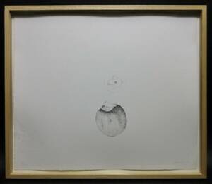 浜口陽三　直筆サイン『柿』 1983年　箱付　国際的版画家
