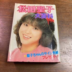 松田聖子 大百科 実業之日本社 