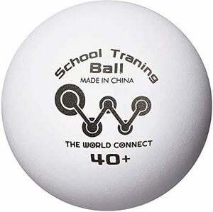 【残りわずか】 ホワイト DV010 100球入 40＋ トレーニングボール スクール TWC ボール 卓球 ホワイト