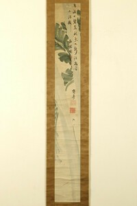 【真作】掛軸「鶴亭画 江稼圃賛 芭蕉画賛」江戸中後期 長崎黄檗宗聖福寺僧 木村蒹葭堂師 書画