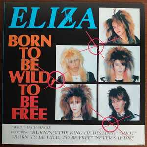 12ELZA-1(FASTEN-006) 1987年/BORN TO BE WILD,TO BE FREE(12)/ELIZA-イライザ