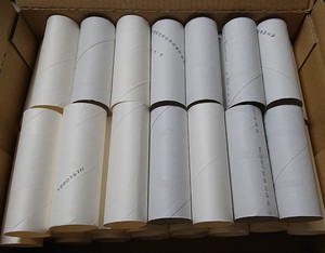 トイレットペーパーの芯　白46本セット　紙筒　保育園　幼稚園　工作　DIY　ペーパークラフトなどに☆彡