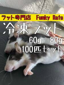 冷凍ラット　100匹セット　60〜80g