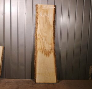 《200サイズ》クリ材　kri_1036　DIY板材　木材／端材　
