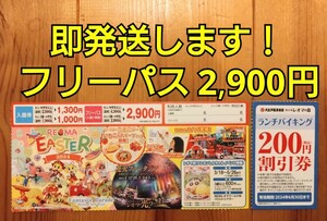 送料無料☆　ニューレオマワールド　フリーパス　入園券　割引券　優待券　クーポン　バイキング