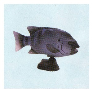 フルタ＆海洋堂 チョコエッグ 日本の動物コレクション 第5弾 141：イシダイ（♂） 魚 食玩 おまけ フィギュア