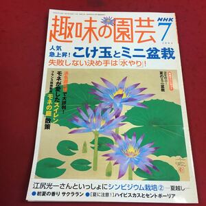 e-225※14 NHK趣味の園芸 2004年7月号 人気急上昇！こけ玉とミニ盆栽 失敗しない決め手は「水やり」！…等 日本放送出版協会