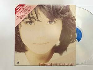 三角帯付き！沢田聖子『ポテンシャル POTENTIAL』