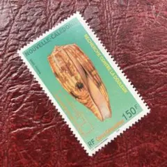 52529セール現品限り　外国切手未使用　ニューカレドニア発行貝1種揃
