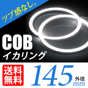 COB イカリング/白/ホワイト/2個/145mm/ヘッドライト加工 プロジェクター ウーハーに/ネコポス 送料無料