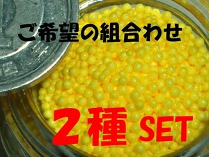 ■果実シナリー【ご希望の２種SET…ミカン・リンゴ・柿・桃・レモン（ゆず）の実 】　送料無料