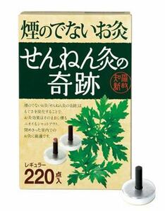 煙の出ないお灸 せんねん灸 奇跡 レギュラー (220個)