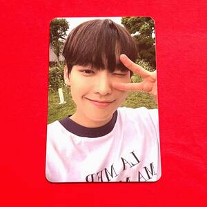 SF9 エスエフナイン FNC STORE COMMA PHOTO CARD A ver. フォトカード トレカ 1枚 INSEONG インソン ② 即決