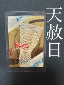 白蛇の抜け殻☆巳年生まれが育てる蛇のお守り☆産道☆貴重【天赦日】16