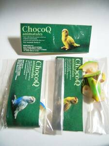 チョコQペット動物4弾 セキセイインコ(ヒナ)3種 インコ ヒナ 鳥　鳥類