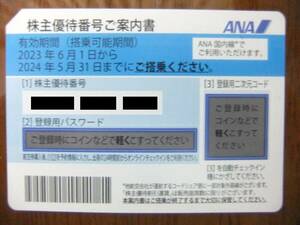 【送料無料】 ANA 全日空 株主優待券 2枚セット 2024年5月31日まで有効